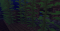 Thumbnail for version as of 01:17, 10 August 2026